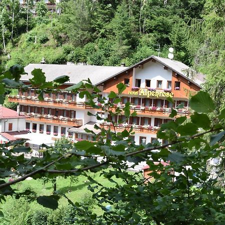 Hotel Alpenrose Alleghe Exterior foto